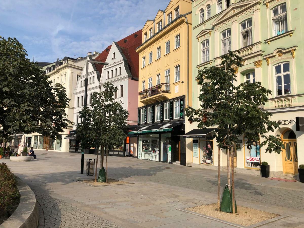 Apartman Orchidej U Vridla Karlovy Vary Ngoại thất bức ảnh