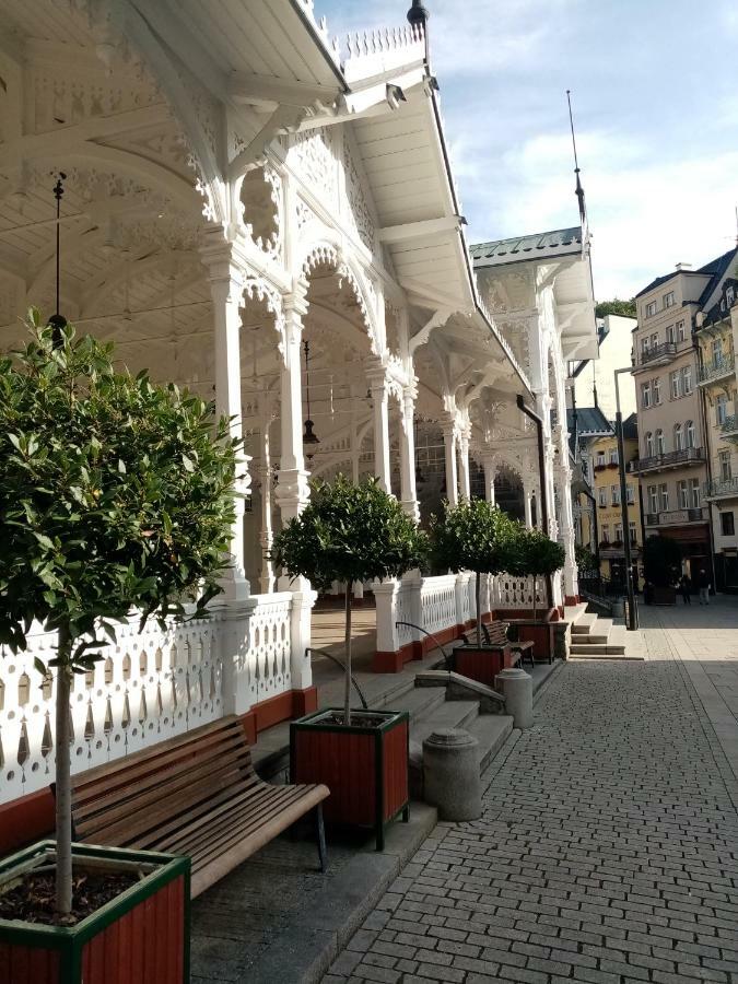 Apartman Orchidej U Vridla Karlovy Vary Ngoại thất bức ảnh