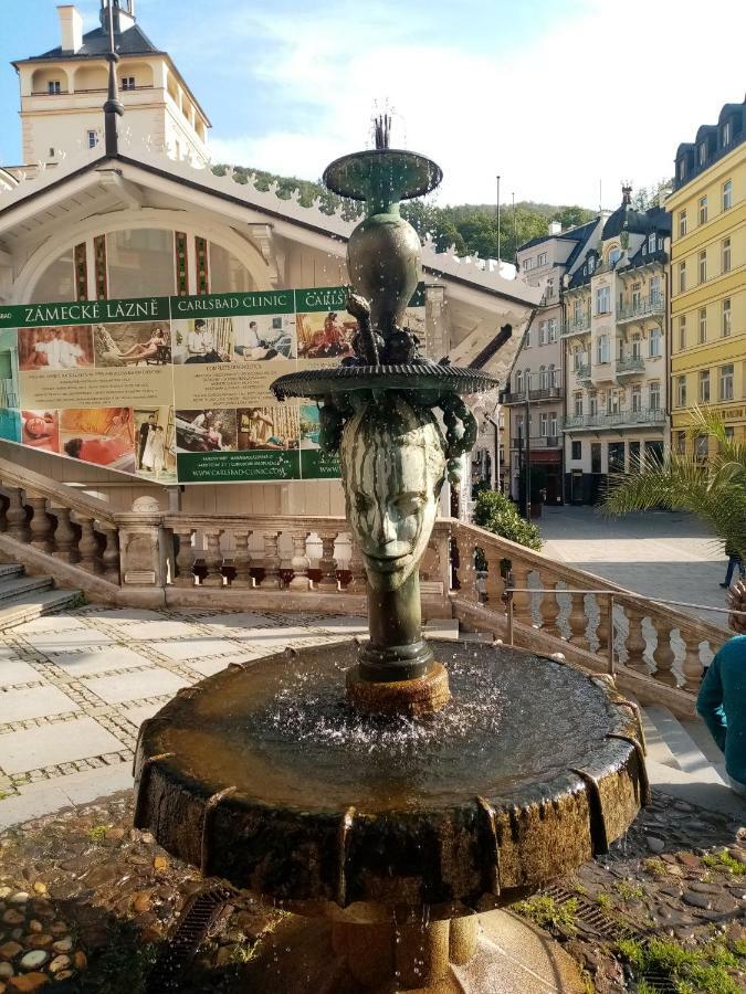Apartman Orchidej U Vridla Karlovy Vary Ngoại thất bức ảnh