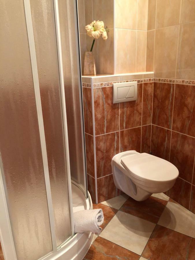 Apartman Orchidej U Vridla Karlovy Vary Ngoại thất bức ảnh