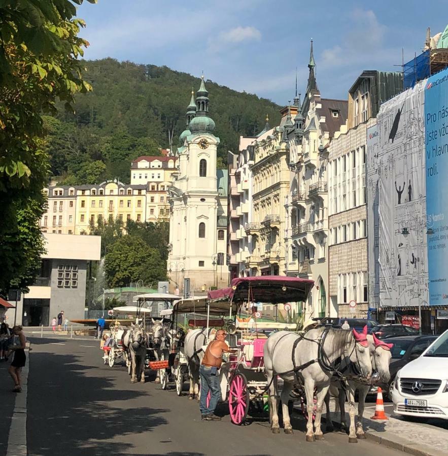 Apartman Orchidej U Vridla Karlovy Vary Ngoại thất bức ảnh